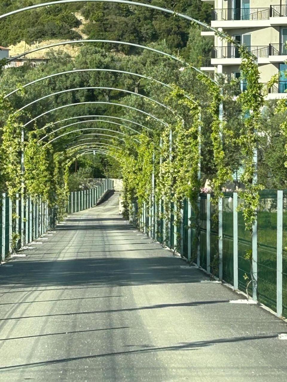 Hotel Borshi Экстерьер фото